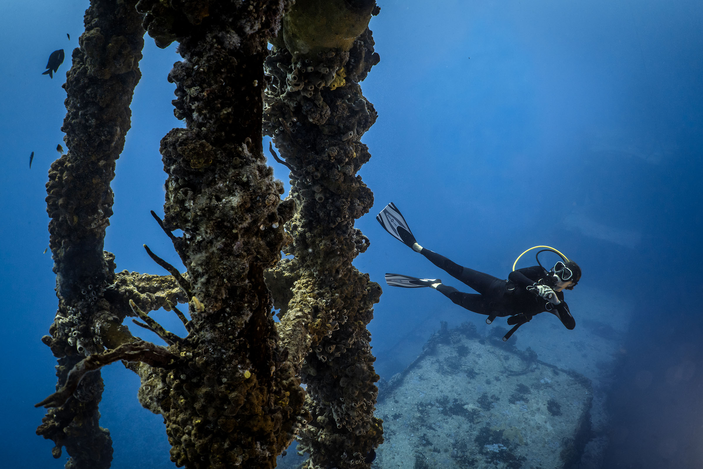 Shearwater Research